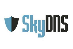 SkyDNS